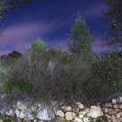 night landscapes 2